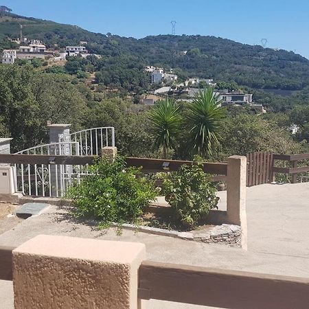 Bas De Villa Chez Mr.Girolami Dominique Bastia  Exterior foto
